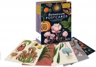 Postikortti: Botanicum - 50 Postcards