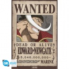 Juliste: One Piece - Wanted Whitebeard (91.5x61cm)