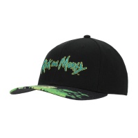 Lippis: Rick And Morty - Acid Vat Sublimated Bill Snapback