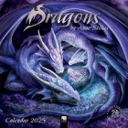 Kalenteri: Anne Stokes -  Dragons Wall Calendar (2025) (Art Cale