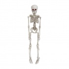 Figuuri: Halloween - Skeleton (50 Cm)