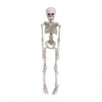 Figuuri: Halloween - Skeleton (50 Cm)