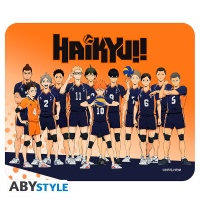 Hiirimatto: Haikyu!! - Karasuno Team