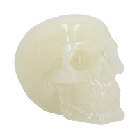 Nemesis: Skull - Phosphorescent (medium) (13cm)