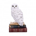 Nemesis: Owl - Library Of Wisdom (17cm)