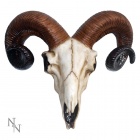 Nemesis: Rams Skull Medium (33cm)