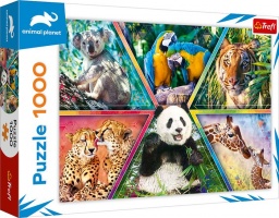 Palapeli: Animal Planet - Elimet (1000)