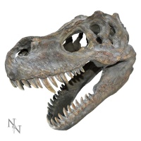 Nemesis Now: Tyrannosaurus Rex Skull Small (39.5cm)