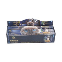 Nemesis: Cat Success - Incense Sticks Jasmine (lp)