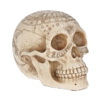 Nemesis Now: Astrological Skull (20cm)