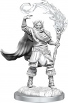 D&D Nolzur's Marvelous Unpainted Minis: Elf Cleric Male (2)