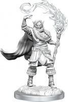 D&D Nolzur\'s Marvelous Unpainted Minis: Elf Cleric Male (2)