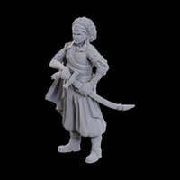 D&D Nolzur\'s Marvelous Unpainted Minis: Ansalon Human Rogue