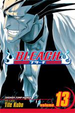 Bleach: 13